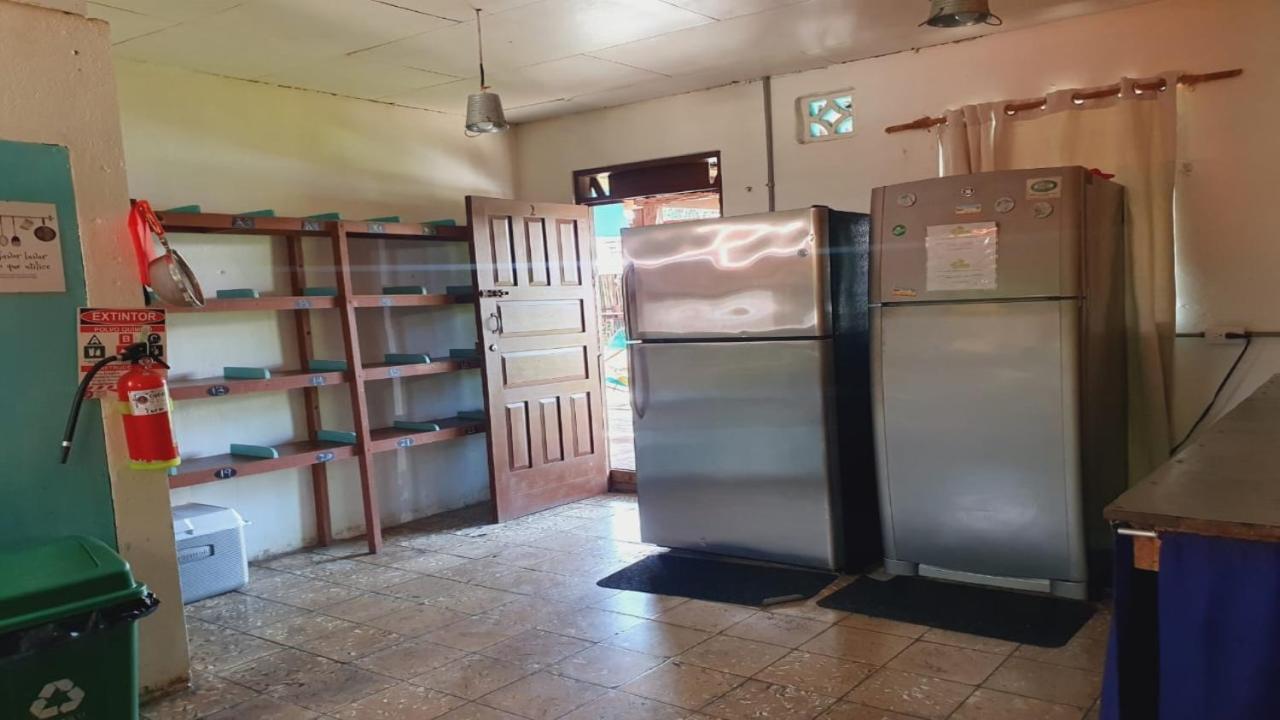 Cabinas Palmer Makanda Cahuita Eksteriør bilde